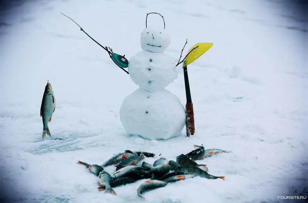 Зимняя рыбалка: особенности, снасти и техника ловли